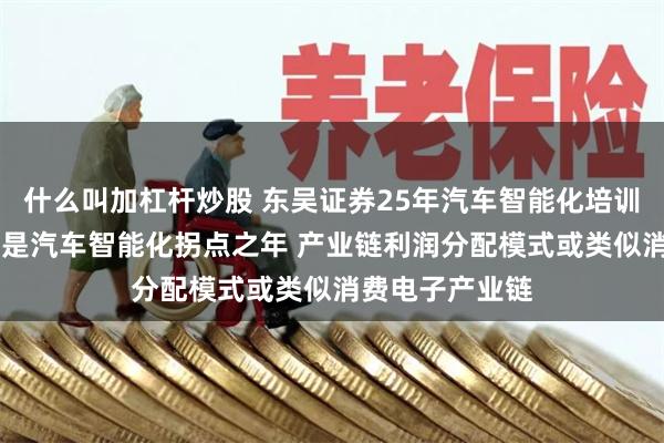 什么叫加杠杆炒股 东吴证券25年汽车智能化培训框架：25年或是汽车智能化拐点之年 产业链利润分配模式或类似消费电子产业链