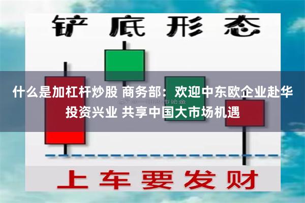 什么是加杠杆炒股 商务部：欢迎中东欧企业赴华投资兴业 共享中国大市场机遇