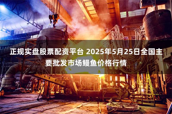 正规实盘股票配资平台 2025年5月25日全国主要批发市场鳗鱼价格行情