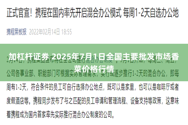 加杠杆证券 2025年7月1日全国主要批发市场香菜价格行情